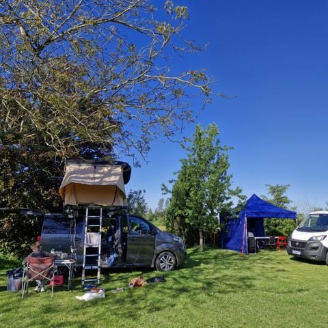 Pitch - Pitch WITH electricity