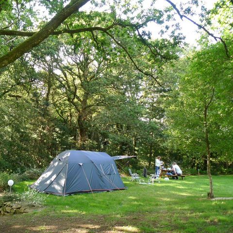 PIAZZOLA - Piazzola + veicolo