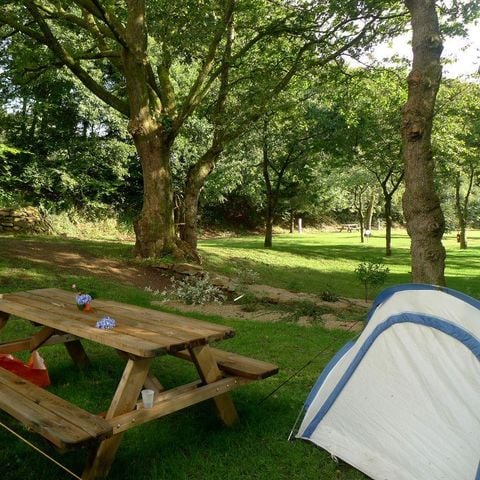 PIAZZOLA - Piazzola + veicolo