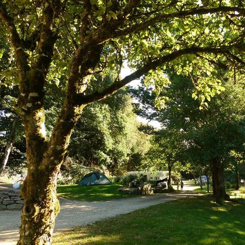 PLOT - Pitch + vehicle