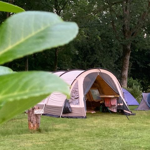 STAANPLAATS - Standplaats Natuur Kampeertent, caravan, camper - oppervlakte >100m² MAXI 4 PERS