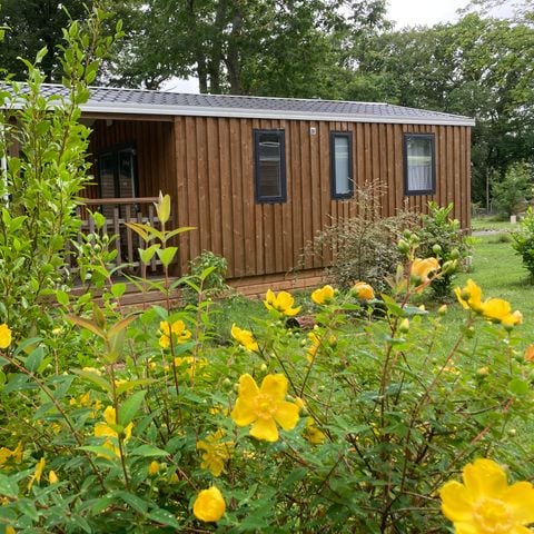 BUNGALOW 6 personnes - TROLL et FARFADET Mobil-home Confort 36m² - 3 chambres sur parcelle >100m2
