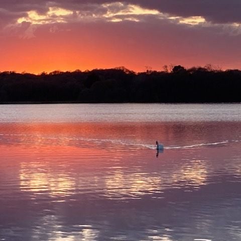AUßERGEWÖHNLICHE UNTERKUNFT 2 Personen - Kokonbulle für zwei!