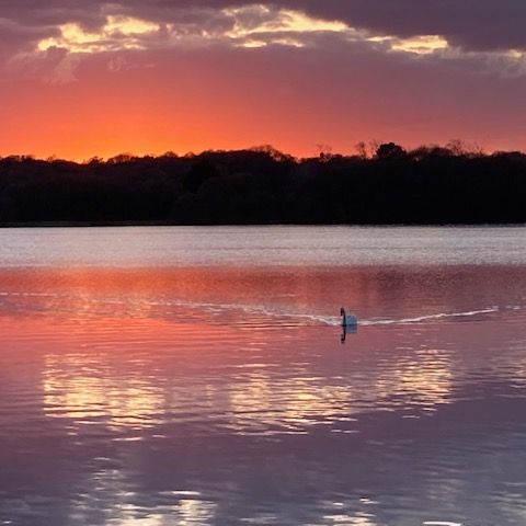 UNIEKE ACCOMMODATIE 2 personen - Een cocon voor twee!