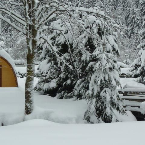 UNIEKE ACCOMMODATIE 2 personen - ECO POD + terras (zonder sanitair)