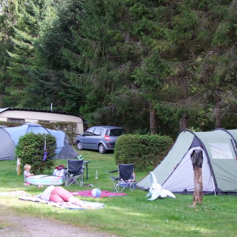 STAANPLAATS - Comfortpakket (1 tent, caravan + 1 auto of camper / elektriciteit 10A)