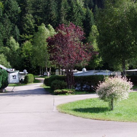 STAANPLAATS - Privilege pakket +100 m² (1 tent, caravan + 1 auto of camper / elektriciteit 10A)