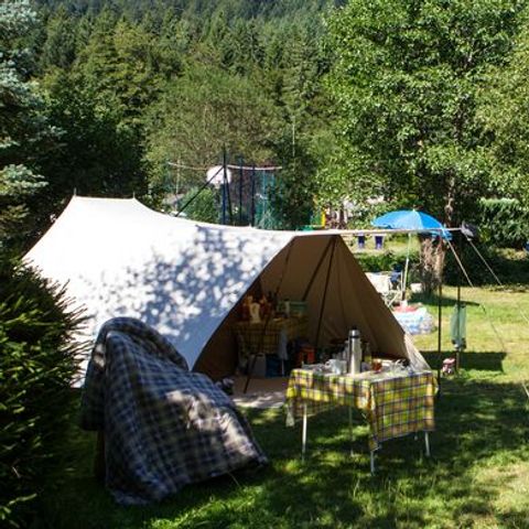 STAANPLAATS - Privilege pakket +100 m² (1 tent, caravan + 1 auto of camper / elektriciteit 10A)