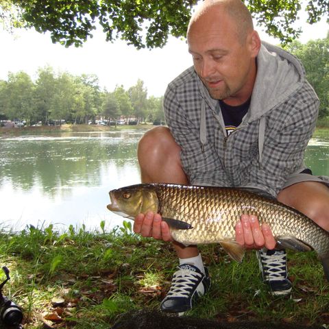 Camping Domaine des Messires Camping Domaine des Messires - Camping Vosges - Image N°10