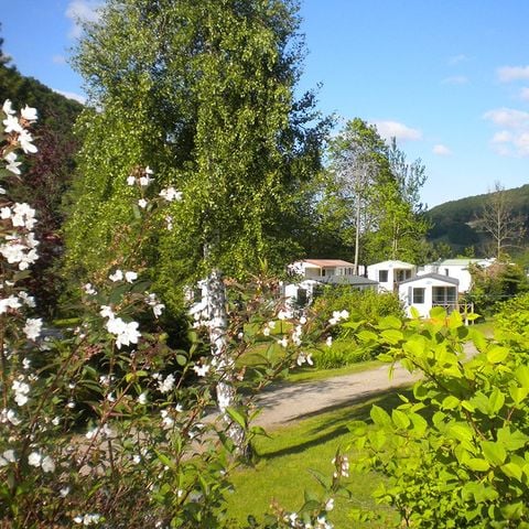 PLOT - Comfort package (1 tent, caravan or motor home / 1 car / 5A electricity)