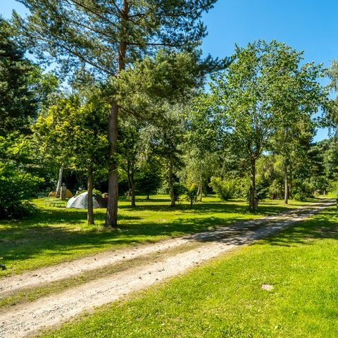 EMPLACEMENT - Forfait Confort (1 tente, caravane ou camping-car / 1 voiture / électricité 5A)