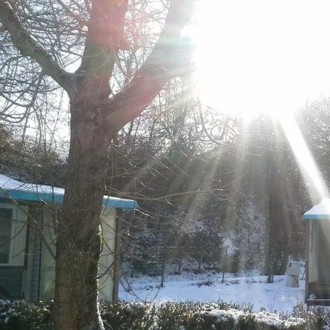 Camping Paradis Le Giessen Camping Paradis Le Giessen - Camping Bas-Rhin - Image N°17