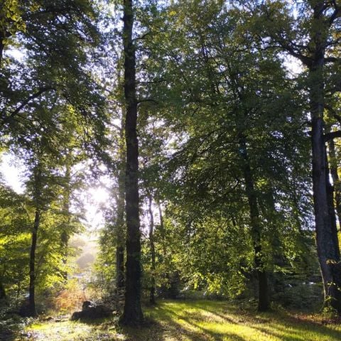 Kampeerplaats - Wandelaars pakket