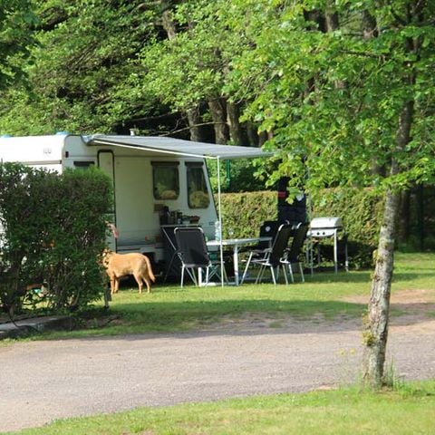 Stellplatz - Komfort