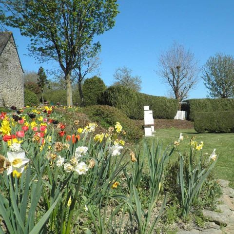 PARCELA - Paquete confort (1 tienda, caravana o autocaravana / 1 coche / electricidad 16A)