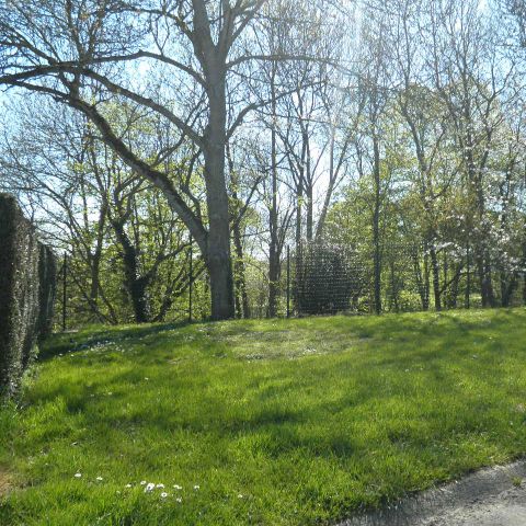 PLOT - Premium package with private bathroom + kitchen (1 tent, caravan or motorhome / 16A electricity)