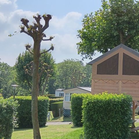 Hébergement 2 personnes - Tente Nature sur pilotis Standard 7.2 m² - sans sanitaire