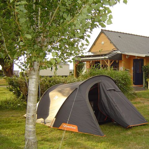 STAANPLAATS - Comfortpakket: 2 personen + 1 caravan of camper + elektriciteit