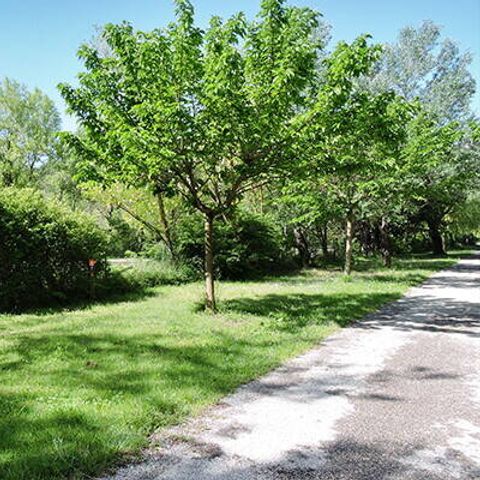 PLOT - Pitch | Essential | Vehicle -7m | <100m² | Electricity | No water