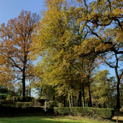 Stellplatz - Komfortplatz