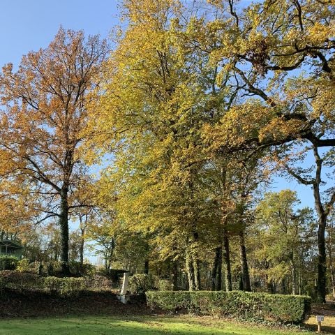 Stellplatz - Komfort Wohnmobil/Wohnwagen + Wasser + Strom