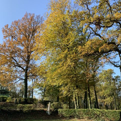 Pitch - Comfort motorhome/caravan + water + electricity