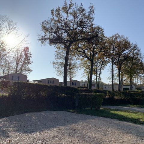 Stellplatz - Komfort Wohnmobil/Wohnwagen + Wasser + Strom