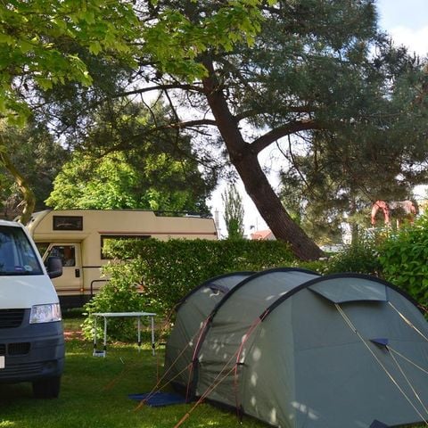 STAANPLAATS - Standplaats pakket: auto + tent / caravan of camper