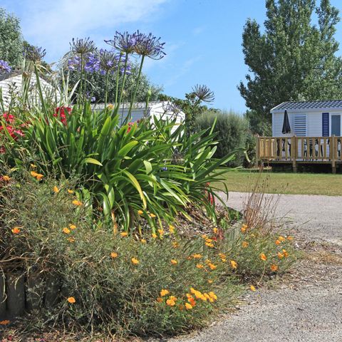 Mobile home 6 persons - comfort 3 bedrooms 6 Pers with terrace