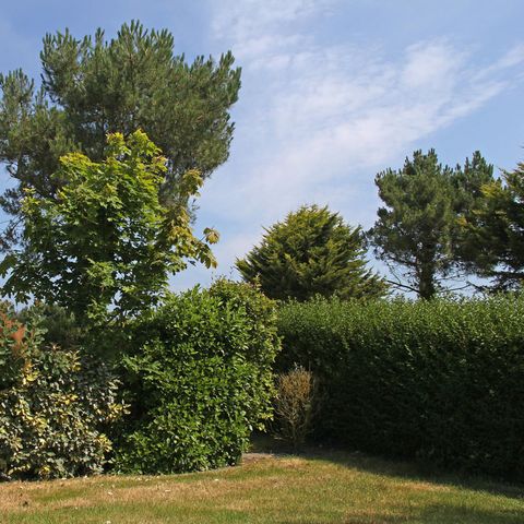 Kampeerplaats - Natuur zonder elektriciteit