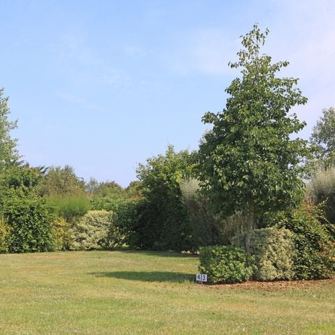 Stellplatz - Natur XL ohne Strom