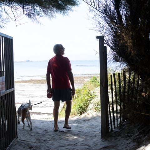 Camping Bel Air Villages - La Pointe de Roscoff - Camping Finistère - Image N°4