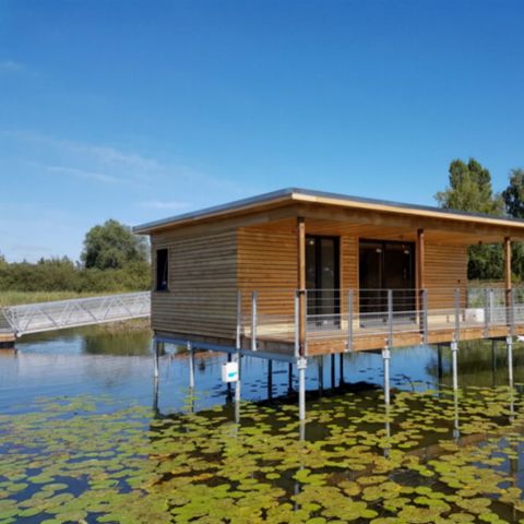 Ongewoon 6 personen - Riet