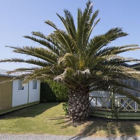 Chalet 5 Personen - Komfort Plus