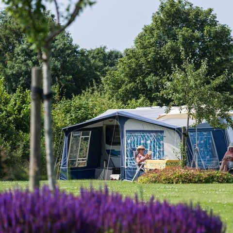 EMPLACEMENT - Emplacement (tente, caravane, camping-car, van)