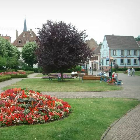 Camping Municipal Ramstein Plage Camping Municipal Ramstein Plage - Camping Moselle - Image N°16