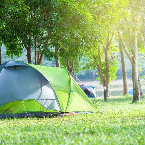 Stellplatz - Pauschale Stellplatz Classic