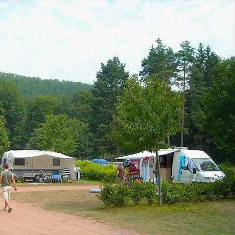 Kampeerplaats - Comfort standplaats pakket