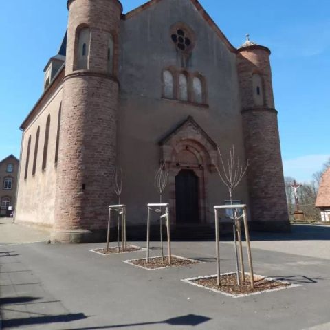 Camping Ramstein Plage - Camping Moselle - Image N°5