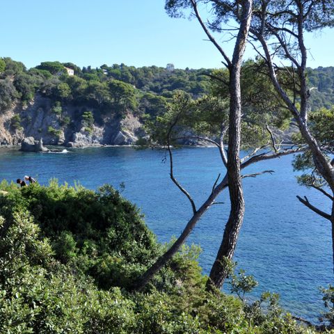 Camping Clair de Lune Camping Clair de Lune - Camping Var - Image N°20