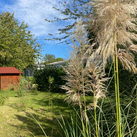 Pitch - Small tent pitch