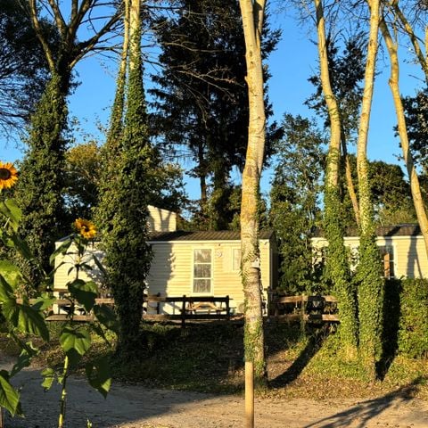 MOBILHOME 2 personnes - 02-Mobil-Home Mitoyen Standard 17m2 (1ch - 1/2 pers.) + TV + Clim - prix pour 2 personnes