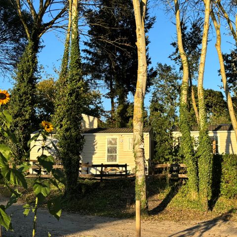 CASA MOBILE 1 persona - 02-Mobil-Home Mitoyen Standard 17m2 (1 letto - 1 pers.) + TV + Aria condizionata - prezzo per 2 persone