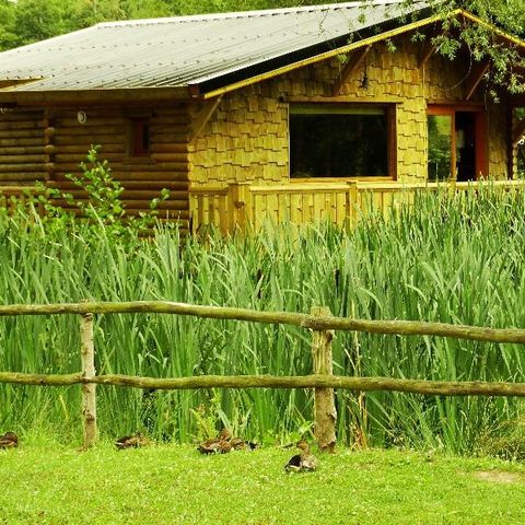 CHALET 2 people - Cabane du GRIZZLI (Round bed, Italian shower)