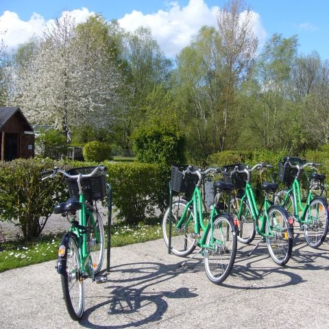 Camping des Cygnes Camping des Cygnes - Camping Somme - Image N°6