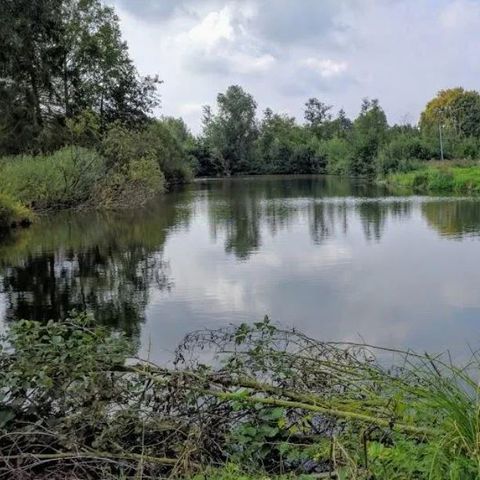 MOBILHOME 6 personas - 2 habitaciones