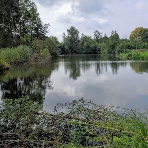 MOBILHOME 6 personas - 2 habitaciones