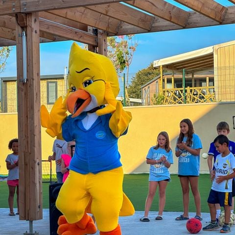 Camping Paradis - La Croix L'abbé - Camping Somme - Image N°6