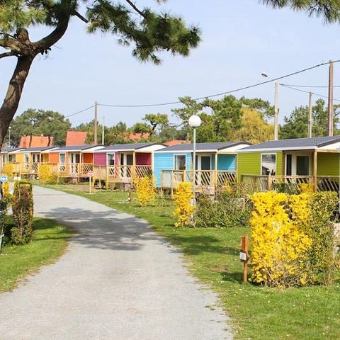 MOBILHOME 4 personnes - MOBIL HOME CONFORT DIM  plaque gaz refrigérateur  vaisselle télévision