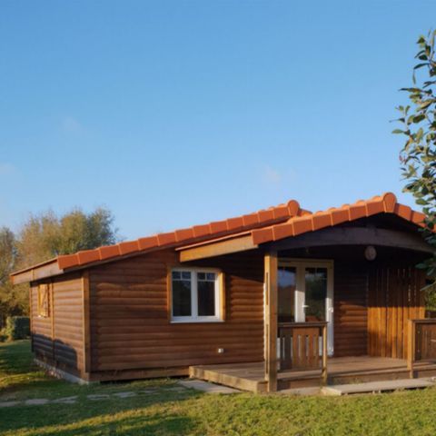 Chalet 6 persons - OCKLAND